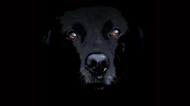 Black dog ghost sighting